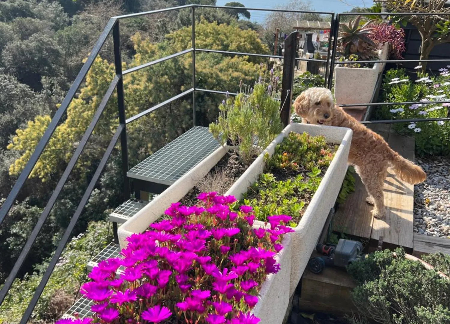 Casa Karian Lägenhet Tossa de Mar